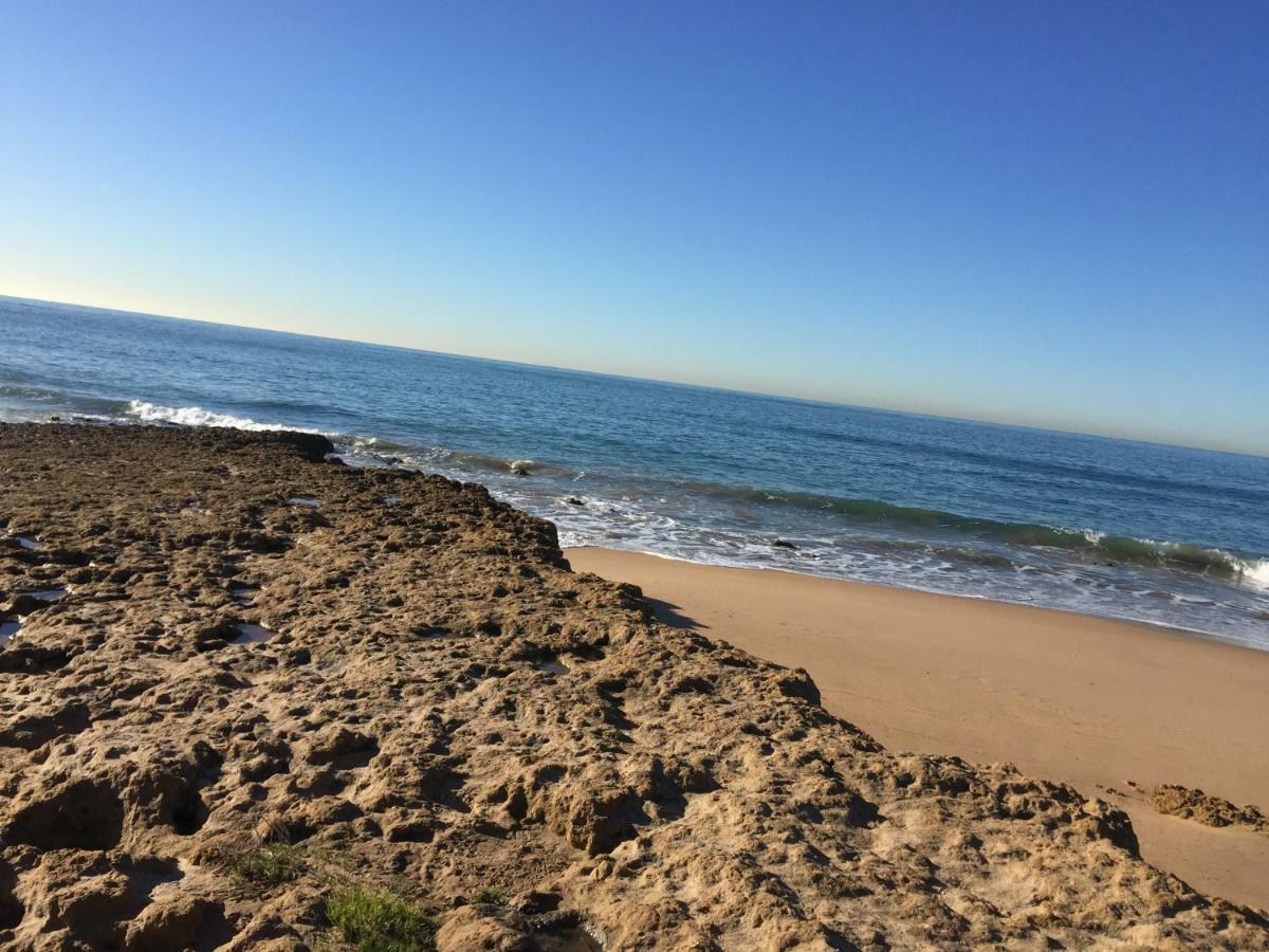 Entre O Mar E Lisboa *